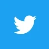 X (Twitter)